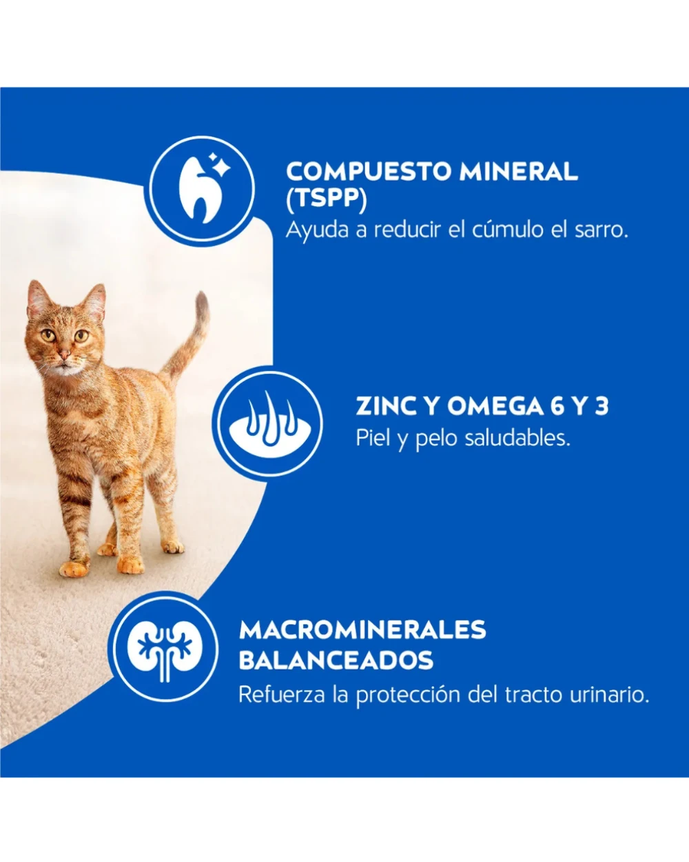 Concentrado Cat Chow Carne Gatos Adultos - Imagen 4