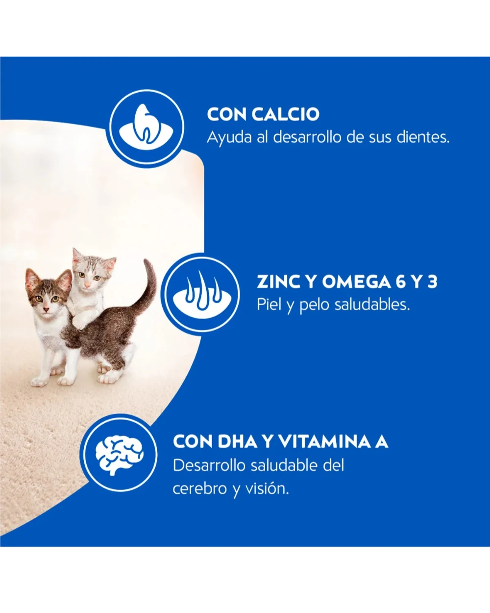 alimento seco para gatos cachorros