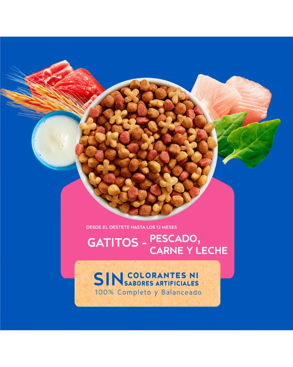 alimento seco gatos