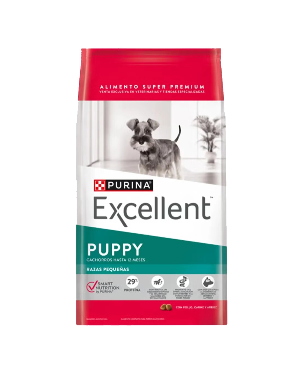 excellent puppy perros razas pequeña