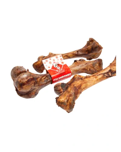 femur entero para perro