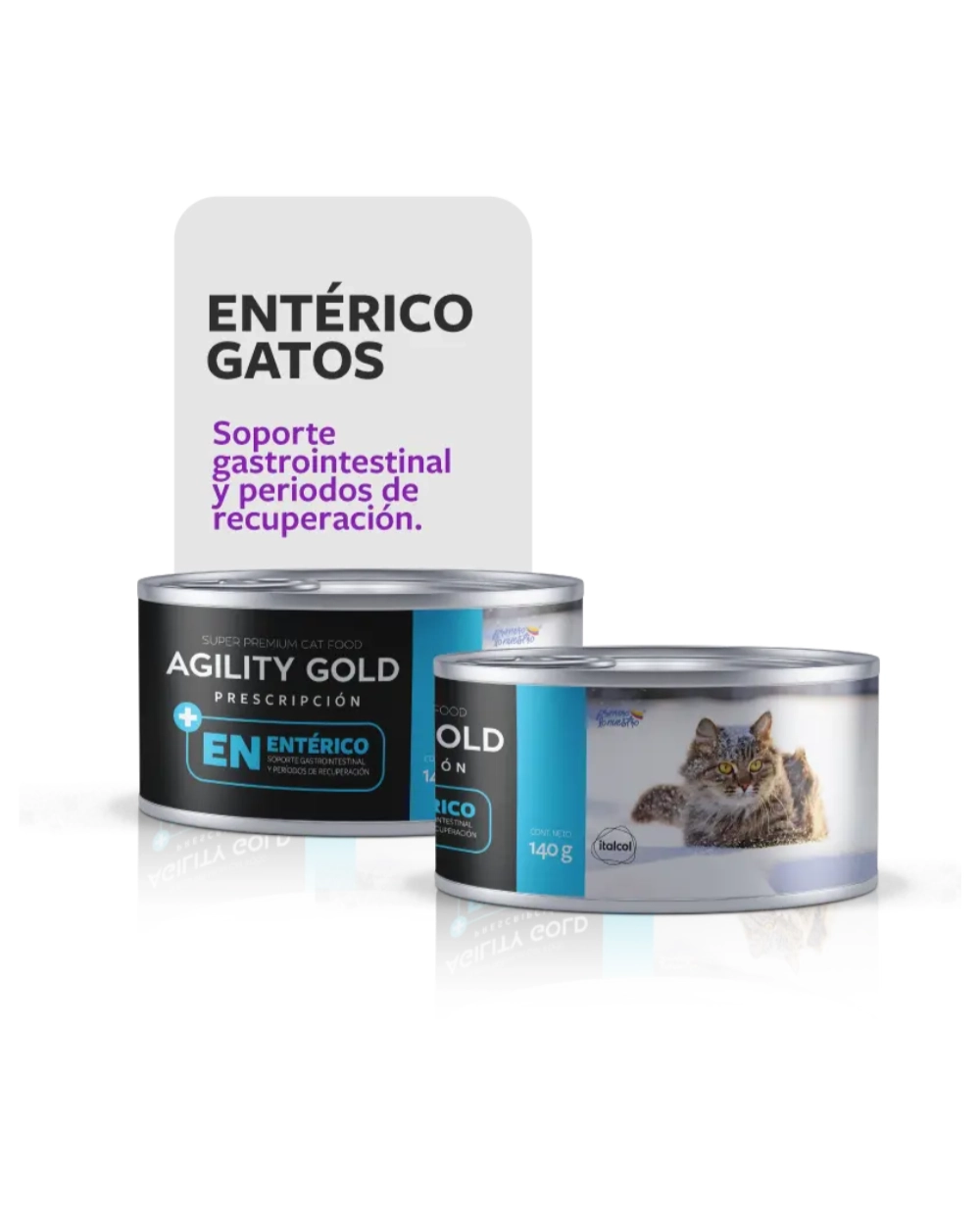 agility enterico gatos