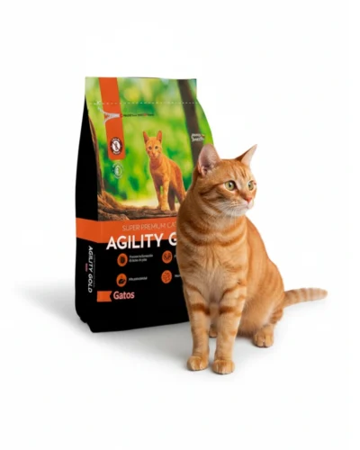 agility gatos
