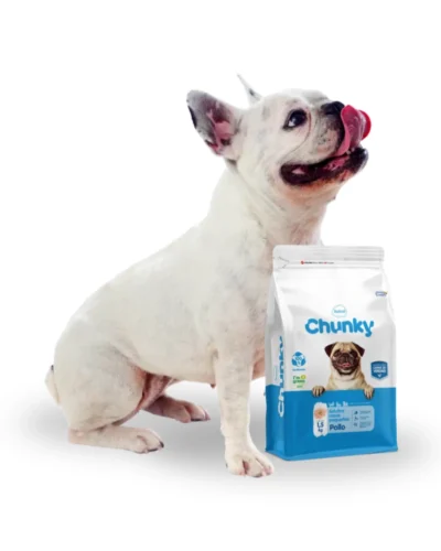 chunky razas pequeñas pollo