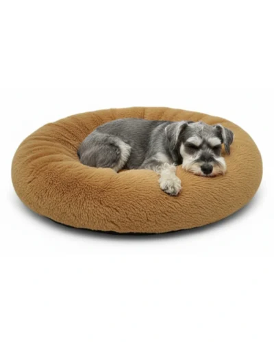 cama de perro
