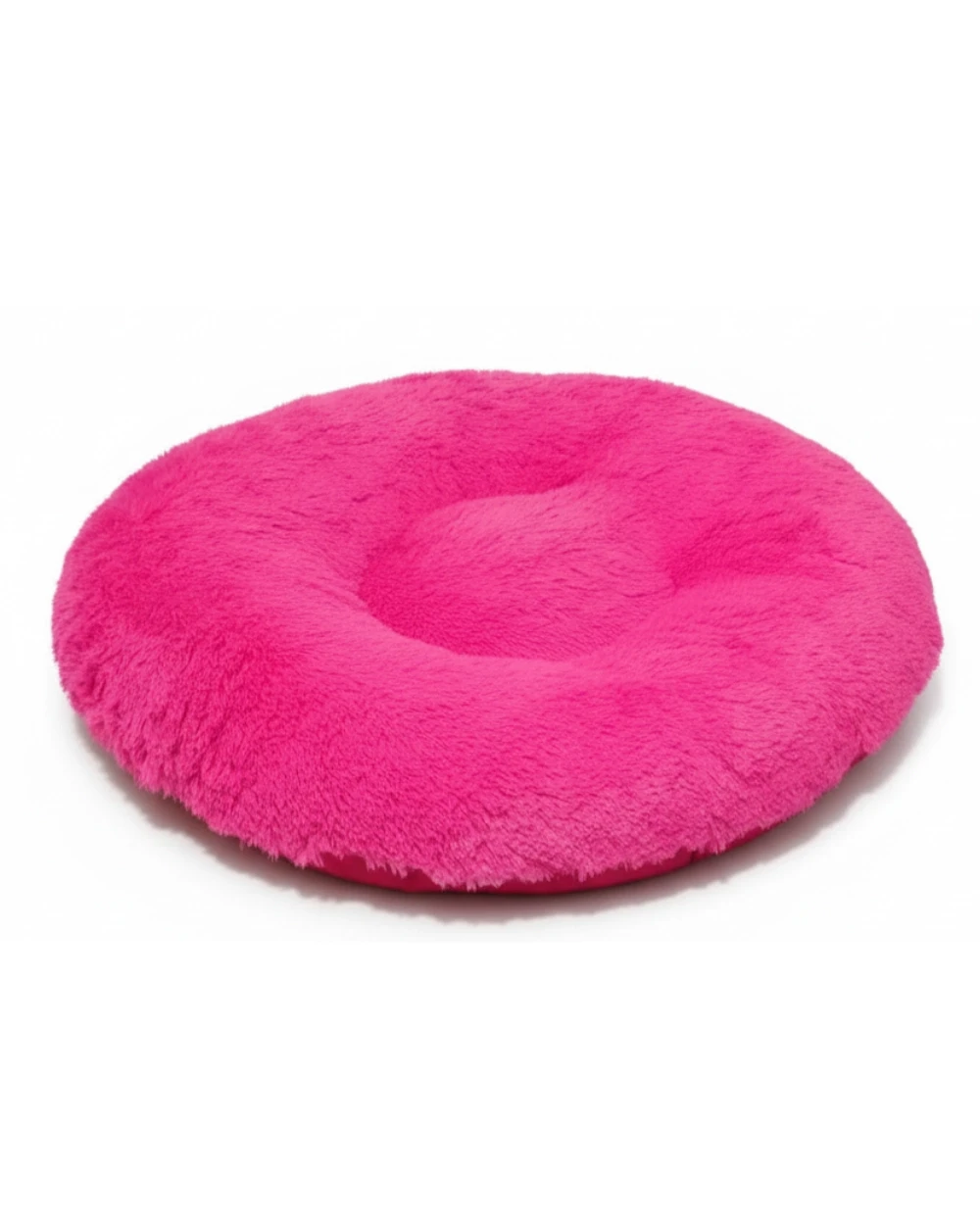 cama perros