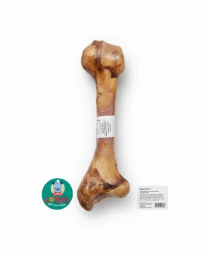 femur para perro