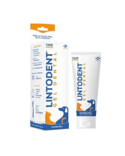lintodent