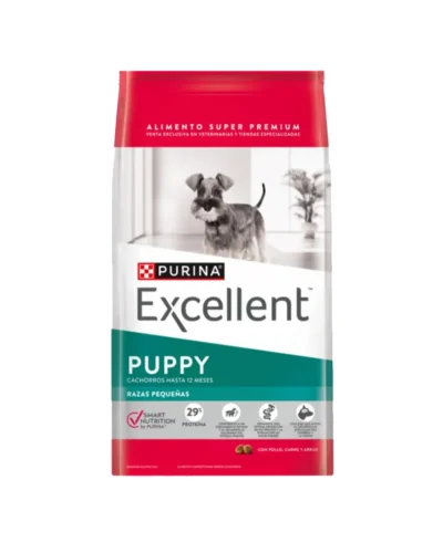 excellent puppy