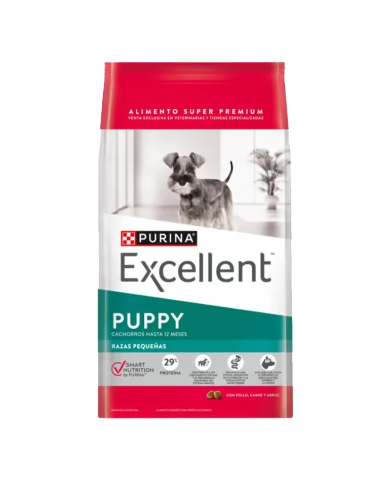 excellent puppy perros razas pequeña