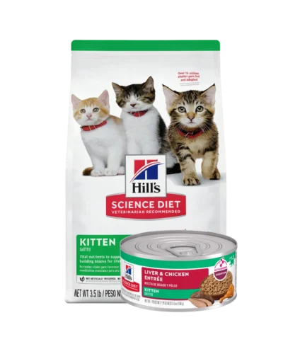 alimento para gatitos hills