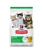 Hills Kitten gatitos