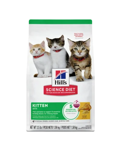 Hills Kitten gatitos